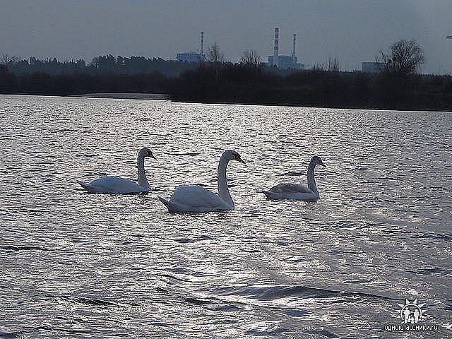 Паводок не стане перепоною  безпечній роботі ХАЕС